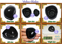 Load image into Gallery viewer, Vishnu Chakra - 13