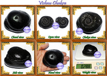 Load image into Gallery viewer, Vishnu Chakra - 17