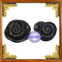 Load image into Gallery viewer, Vishnu Chakra - 17