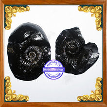 Load image into Gallery viewer, Vishnu Chakra - 7