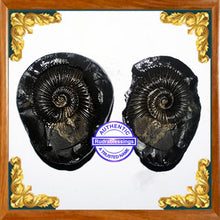 Load image into Gallery viewer, Vishnu Chakra - 8