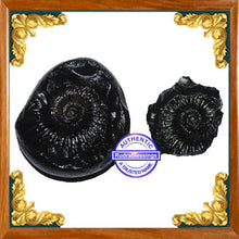 Load image into Gallery viewer, Vishnu Chakra - 9