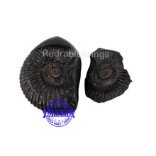 Load image into Gallery viewer, Vishnu Chakra - 28