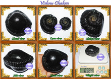 Load image into Gallery viewer, Vishnu Chakra - 5