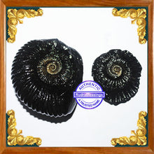 Load image into Gallery viewer, Vishnu Chakra - 5