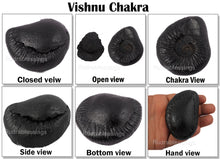 Load image into Gallery viewer, Vishnu Chakra - 21