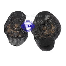 Load image into Gallery viewer, Vishnu Chakra - 22