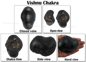 Vishnu Chakra - 22