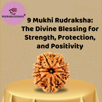 9 Mukhi rudraksha: The divine Blessing for strength, protection, and positivity