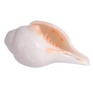 5 Lines / Panchtatva Shankh