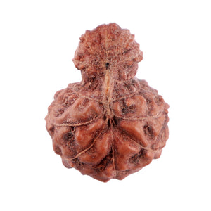 Indonesian Garbh Gauri