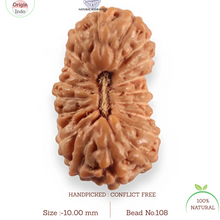 Load image into Gallery viewer, 20 Mukhi Indonesian Rudraksha - Bead 108
