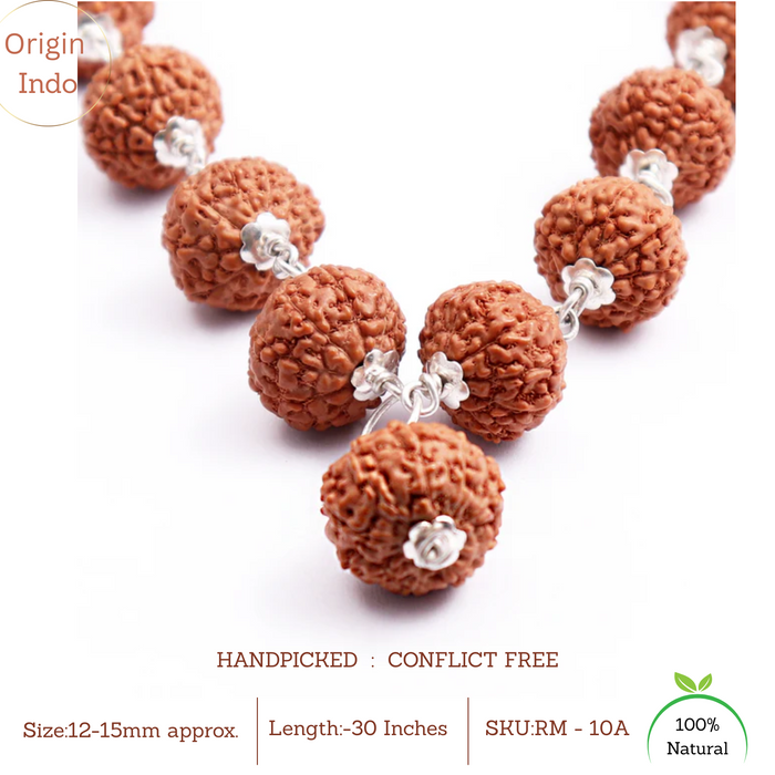 10 Mukhi Indonesian Rudraksha Mala - 32+1 (Pure Silver)