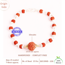Load image into Gallery viewer, 10 Mukhi Wrist Band (Indonesian) - Type 3
