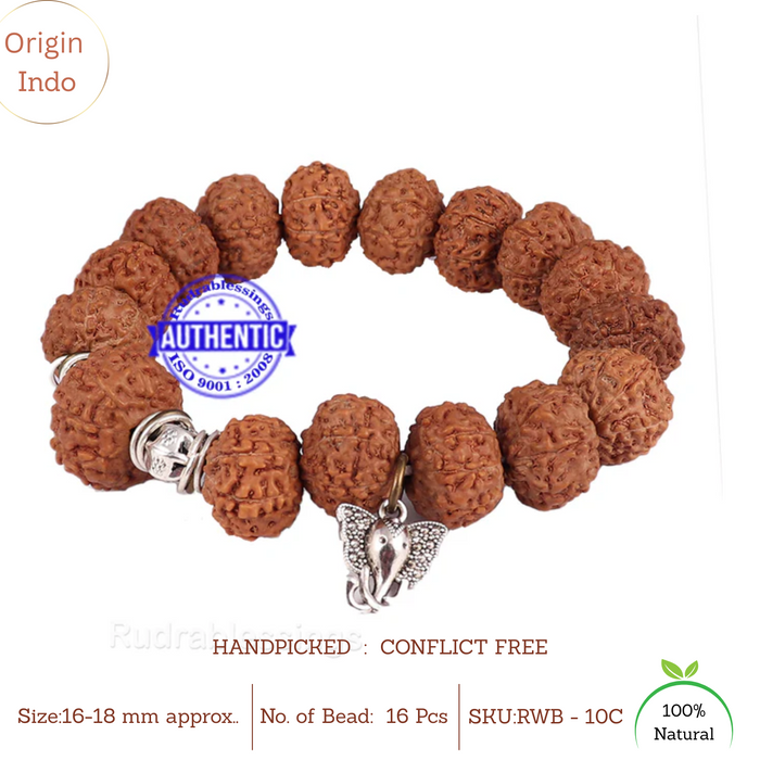 10 Mukhi Rudraksha Wrist Band - Type 1