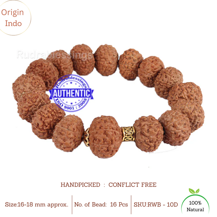 10 Mukhi Rudraksha Wrist Band - Type 2
