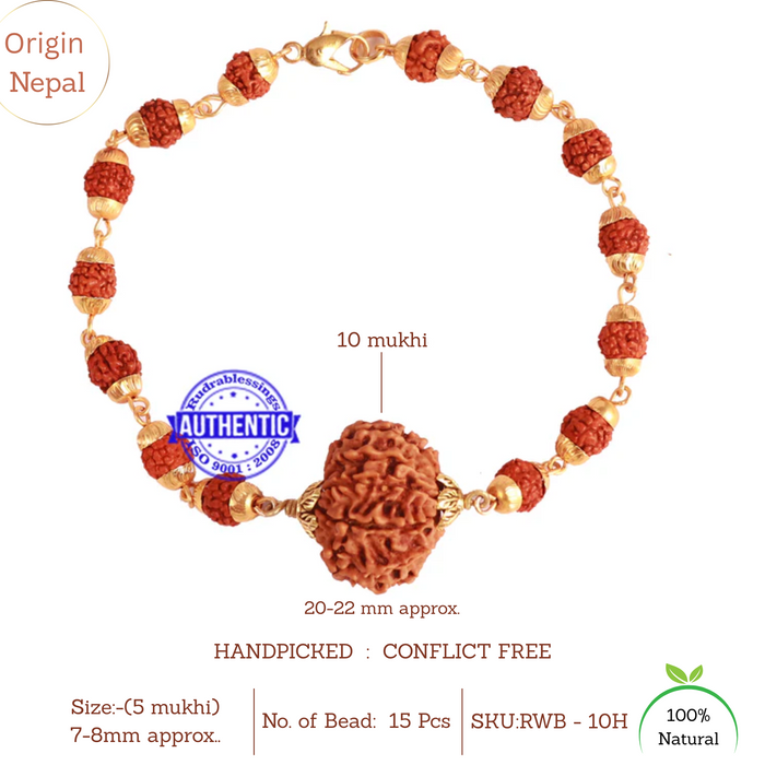 10 Mukhi Wrist Band (Nepalese) - Type 1