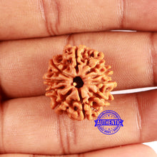 Load image into Gallery viewer, 10 Mukhi Nepalese Rudraksha - Bead No. 407
