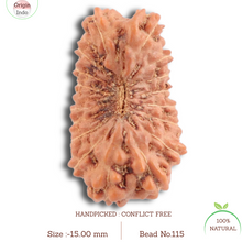 Load image into Gallery viewer, 17 Mukhi Rudraksha from Indonesia - Bead No. 115
