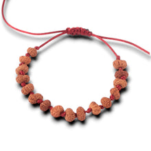 Load image into Gallery viewer, 12 Mukhi Indonesian Rudraksha Bracelet
