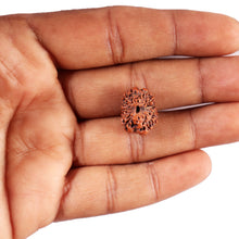 Load image into Gallery viewer, 12 Mukhi Indonesian Rudraksha - Bead No. 293
