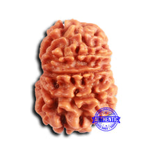 Load image into Gallery viewer, 12 Mukhi Nepalese Rudraksha - Bead No 350
