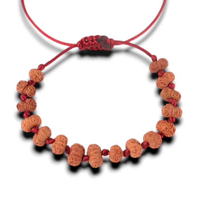 13 Mukhi Indonesian Rudraksha Bracelet