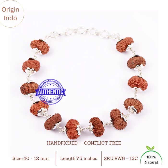 13 Mukhi Indonesian Rudraksha Bracelet (Pure Silver)
