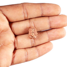 Load image into Gallery viewer, 13 Mukhi Indonesian Rudraksha - Bead No 292
