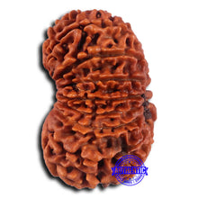 Load image into Gallery viewer, 16 Mukhi Rudraksha from Nepal - Bead No. 104
