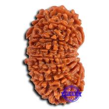 Load image into Gallery viewer, 16 Mukhi Rudraksha from Nepal - Bead No. 106
