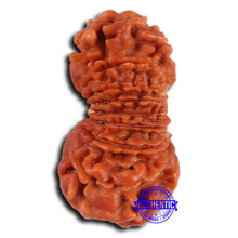 Load image into Gallery viewer, 16 Mukhi Rudraksha from Nepal - Bead No. 107
