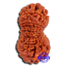 Load image into Gallery viewer, 16 Mukhi Rudraksha from Nepal - Bead No. 107
