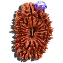 Load image into Gallery viewer, 18 Mukhi Rudraksha from Nepal - Bead No. 47
