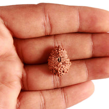 Load image into Gallery viewer, 18 Mukhi Rudraksha from Indonesia - Bead No. 227
