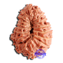 Load image into Gallery viewer, 18 Mukhi Rudraksha from Indonesia - Bead No. 227
