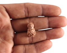 Load image into Gallery viewer, 18 Mukhi Rudraksha from Indonesia - Bead No. 242
