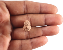 Load image into Gallery viewer, 18 Mukhi Rudraksha from Indonesia - Bead No. 246
