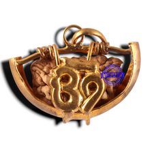 Load image into Gallery viewer, 1 Mukhi half moon shaped from India - Bead No. 351
