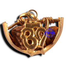 Load image into Gallery viewer, 1 Mukhi half moon shaped from India - Bead No. 352
