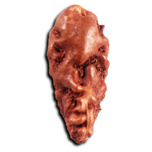 Load image into Gallery viewer, 1 Mukhi  Rudraksha from Indonesia - Bead No.173

