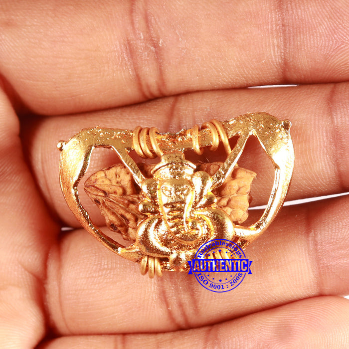 1 Mukhi half moon shaped from India - Bead No. 309