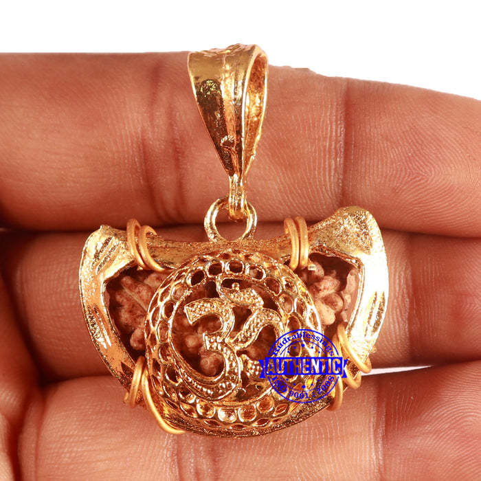 1 Mukhi half moon shaped from India - Bead No. 315