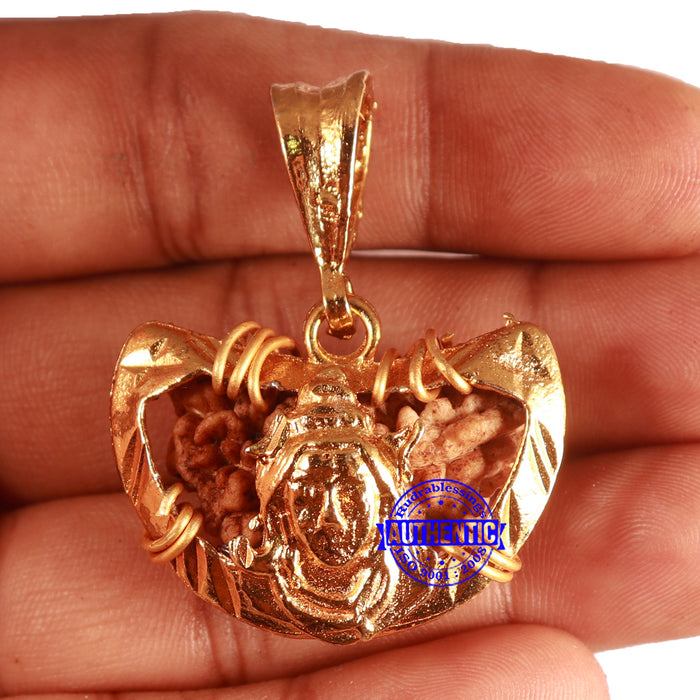 1 Mukhi half moon shaped from India - Bead No. 323