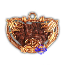 Load image into Gallery viewer, 1 Mukhi half moon shaped from India - Bead No. 332
