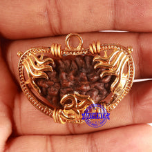 Load image into Gallery viewer, 1 Mukhi half moon shaped from India - Bead No. 332
