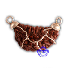 Load image into Gallery viewer, 1 Mukhi half moon shaped from India - Bead No. 334
