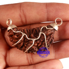 Load image into Gallery viewer, 1 Mukhi half moon shaped from India - Bead No. 334
