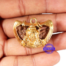 Load image into Gallery viewer, 1 Mukhi half moon shaped from India - Bead No. 335
