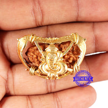 Load image into Gallery viewer, 1 Mukhi half moon shaped from India - Bead No. 336
